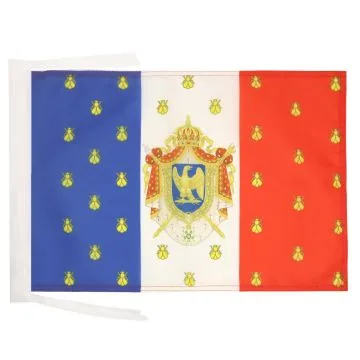 DRAPEAU ETENDARD DE NAPOLÉON III 45x30cm - PAVILLON SECOND EMPIRE FRANCE 30 x 45 cm haute qualité