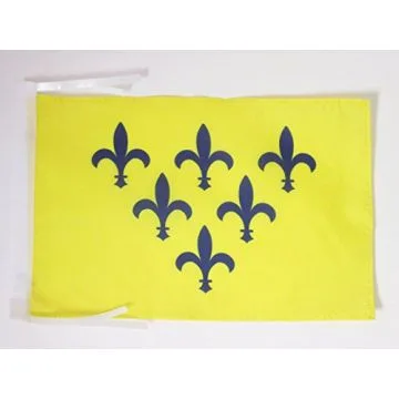 DRAPEAU DUCHÉ DE PARME 1545?1731 45x30cm - PAVILLON ITALIEN ANCIEN - ITALIE 30 x 45 cm haute qualité