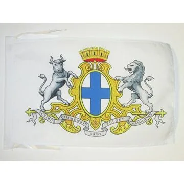 DRAPEAU ARMOIRIES DE MARSEILLE 45x30cm - PAVILLON MARSEILLAIS - VILLE DE MARSEILLE 30 x 45 cm haute qualité
