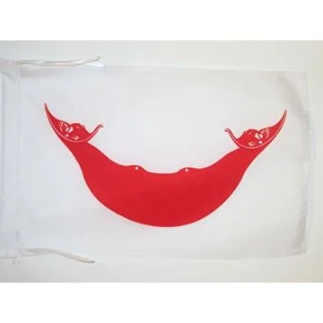DRAPEAU ÎLE DE PÂQUES 45x30cm - PAVILLON RAPA NUI - CHILI 30 x 45 cm haute qualité