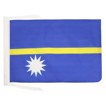 DRAPEAU NAURU 45x30cm - PAVILLON NAURUAN 30 x 45 cm haute qualité