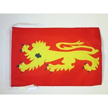 DRAPEAU AVEYRON 45x30cm - PAVILLON DÉPARTEMENT AVEYRONAIS 30 x 45 cm haute qualité