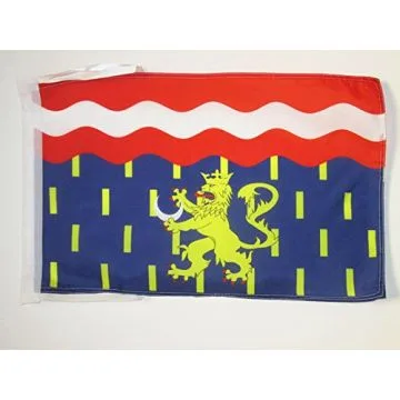 DRAPEAU HAUTE-SAÔNE 45x30cm - PAVILLON DÉPARTEMENT HAUT-SAÔNOIS 30 x 45 cm haute qualité