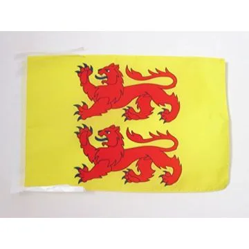 DRAPEAU HAUTES-PYRÉNÉES 45x30cm - PAVILLON DÉPARTEMENT HAUT-PYRÉNÉEN 30 x 45 cm haute qualité