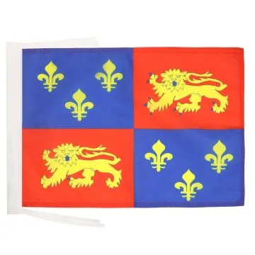 DRAPEAU LANDES 45x30cm - PAVILLON DÉPARTEMENT LANDAIS 30 x 45 cm haute qualité