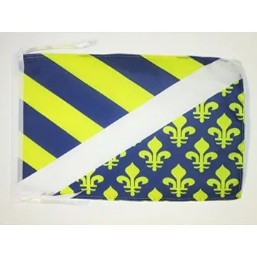 DRAPEAU OISE 45x30cm - PAVILLON DÉPARTEMENT ISARIEN 30 x 45 cm haute qualité