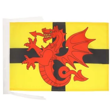 DRAPEAU BRETAGNE PAYS DU TRÉGOR 45x30cm - PAVILLON BRO-DREGER 30 x 45 cm haute qualité