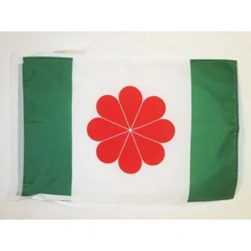 DRAPEAU TAÏWAN INDÉPENDANTISTE 45x30cm - PAVILLON TAÏWANAIS NATIONALISTE 30 x 45 cm haute qualité