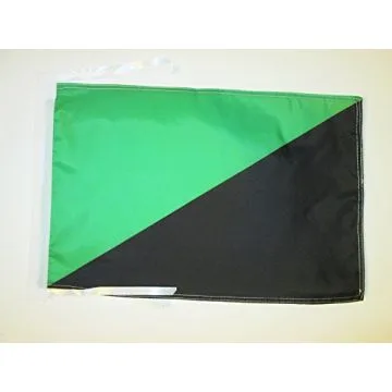 DRAPEAU ANARCHO-PRIMITIVISME 45x30cm - PAVILLON ANARCHISME VERT EN ANARCHIE 30 x 45 cm haute qualité