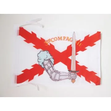 DRAPEAU LÉGION WALLONIE 45x30cm - PAVILLON DE LÉON DEGRELLE 30 x 45 cm haute qualité