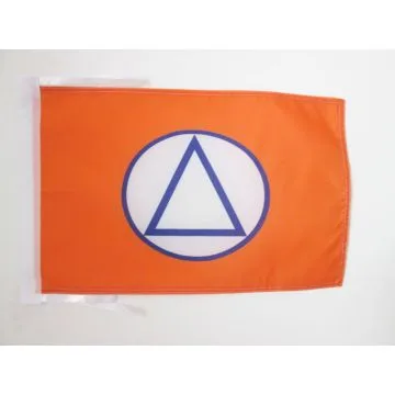DRAPEAU LIGUE NATIONALE FLAMANDE 1933-1945 45x30cm - PAVILLON DU VNV 30 x 45 cm haute qualité