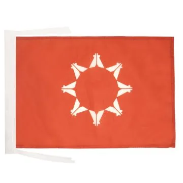 DRAPEAU SIOUX OGLALA DU DAKOTA DU SUD 45x30cm - PAVILLON AMÉRINDIEN 30 x 45 cm haute qualité