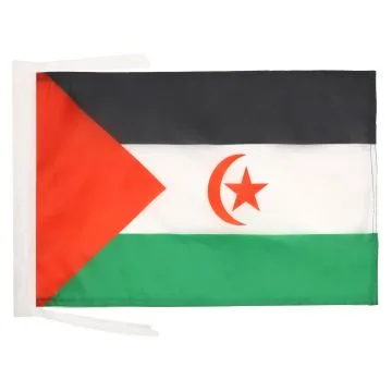 DRAPEAU SAHARA OCCIDENTAL 45x30cm - PAVILLON SAHRAOUI 30 x 45 cm haute qualité