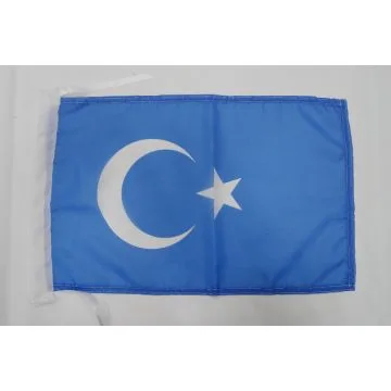 DRAPEAU OUÏGHOURS 45x30cm - PAVILLON DES OUÏGOURS 30 x 45 cm haute qualité