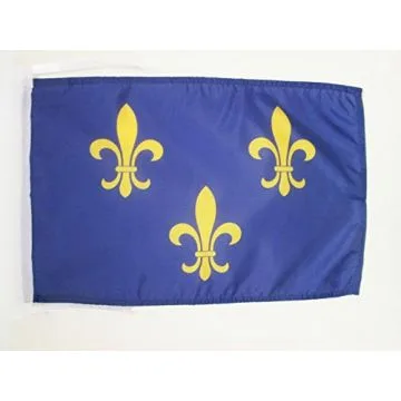 DRAPEAU FRANCO-AMÍ?RICAINS DU MID-OUEST 45x30cm - PAVILLON LOUISIANE SEPTENTRIONALE 30 x 45 cm haute qualité