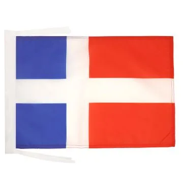 DRAPEAU PROTECTORAT FRANÍ?AIS DE SARRE 1947-1956 45x30cm - PAVILLON DE SAAR 30 x 45 cm haute qualité