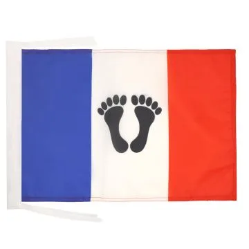 DRAPEAU FRANÍ?AIS D\'ALGÍ?RIE 45x30cm - PAVILLON DES PIEDS NOIRS 30 x 45 cm haute qualité