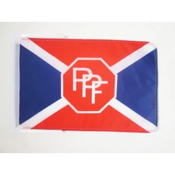 DRAPEAU PARTI POPULAIRE FRANÍ?AIS 1936-1945 45x30cm - PAVILLON DU PPF 30 x 45 cm haute qualité