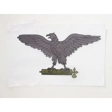 DRAPEAU AIGLE SUR FAISCEAU RSI 45x30cm - PAVILLON RÍ?PUBLIQUE SOCIALE ITALIENNE 30 x 45 cm haute qualité