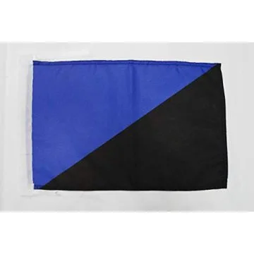 Drapeau Anarcho-transhumanisme 45x30cm - PAVILLON anarchiste transhumaniste 30 x 45 cm haute qualité