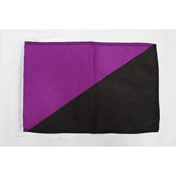Drapeau Anarcha-féminisme 45x30cm - PAVILLON féminisme libertaire 30 x 45 cm haute qualité