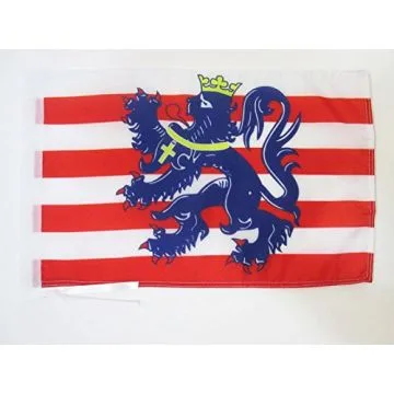 DRAPEAU BRUGES 45x30cm - PAVILLON BRUGGE EN FLANDRES 30 x 45 cm haute qualité