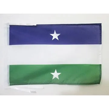 DRAPEAU ROYAUME D\'ARAUCANIE ET DE PATAGONIE 45x30cm - PAVILLON ROYAUME DE NOUVELLE-FRANCE 30 x 45 cm haute qualité