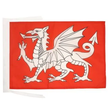 DRAPEAU DRAGON BLANC D\'ANGLETERRE 45x30cm - PAVILLON ANGLAIS - SAINT GEORGES 30 x 45 cm haute qualité
