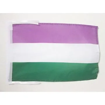 DRAPEAU FIERTÍ? GENDERQUEER 45x30cm - PAVILLON ARC EN CIEL 30 x 45 cm haute qualité