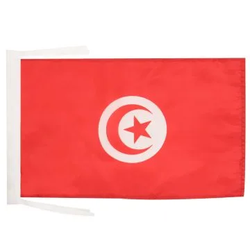 DRAPEAU TUNISIE 45x30cm - PAVILLON TUNISIEN 30 x 45 cm haute qualité