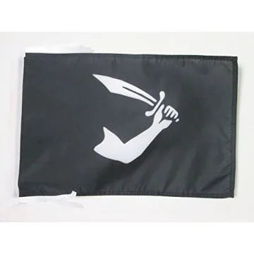 DRAPEAU PIRATE THOMAS TEW 45x30cm - PAVILLON CORSAIRE TÍ?TE DE MORT 30 x 45 cm haute qualité