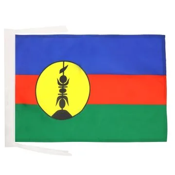 DRAPEAU NOUVELLE CALÉDONIE 45x30cm - PAVILLON NÉO-CALÉDONIEN - FRANCE 30 x 45 cm haute qualité