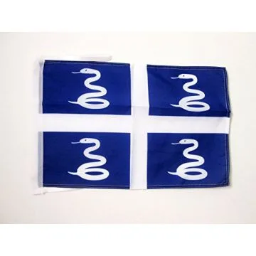 DRAPEAU MARTINIQUE 45x30cm - PAVILLON MARTINIQUAIS - FRANCE 30 x 45 cm haute qualité