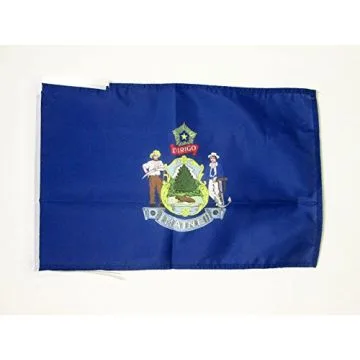 DRAPEAU MAINE 45x30cm - PAVILLON ETAT AMÉRICAIN - USA - ETATS-UNIS 30 x 45 cm haute qualité