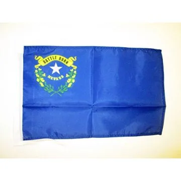 DRAPEAU NEVADA 45x30cm - PAVILLON ETAT AMÉRICAIN - USA - ETATS-UNIS 30 x 45 cm haute qualité