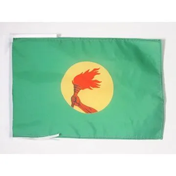 DRAPEAU ZAÏRE 45x30cm - PAVILLON ZAÏROIS 30 x 45 cm haute qualité
