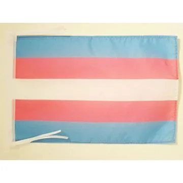 DRAPEAU ARC-EN-CIEL TRANSGENRE 45x30cm - PAVILLON TRANGENDER - RAINBOW 30 x 45 cm haute qualité