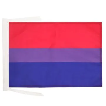 DRAPEAU BISEXUEL 45x30cm - PAVILLON BISEXUEL - ARC EN CIEL - RAINBOW 30 x 45 cm haute qualité