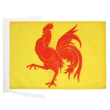 DRAPEAU WALLONIE 45x30cm - PAVILLON WALLON - BELGIQUE 30 x 45 cm haute qualité