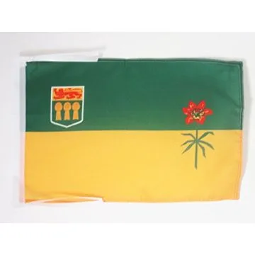 DRAPEAU SASKATCHEWAN 45x30cm - PAVILLON CANADIEN - CANADA 30 x 45 cm haute qualité