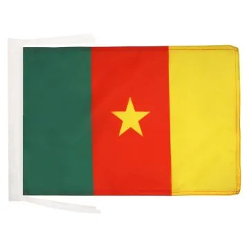 DRAPEAU CAMEROUN 45x30cm - PAVILLON CAMEROUNAIS 30 x 45 cm haute qualité