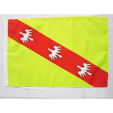 DRAPEAU LORRAINE 45x30cm - PAVILLON LORRAIN - FRANCE 30 x 45 cm haute qualité