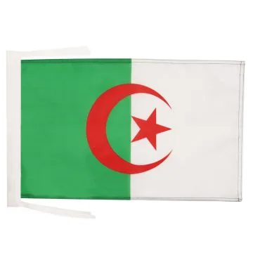 DRAPEAU ALGÉRIE 45x30cm - PAVILLON ALGÉRIEN 30 x 45 cm haute qualité