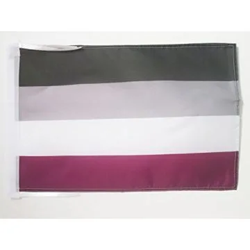 DRAPEAU ARC-EN-CIEL ASEXUEL 45x30cm - PAVILLON AASEXUALITÉ - RAINBOW 30 x 45 cm haute qualité