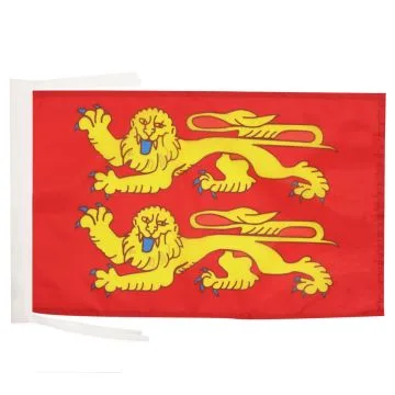 DRAPEAU BASSE-NORMANDIE 45x30cm - PAVILLON BAS-NORMAND - FRANCE 30 x 45 cm haute qualité