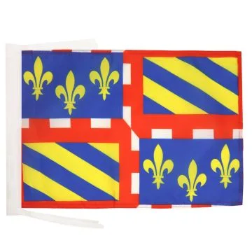 DRAPEAU BOURGOGNE 45x30cm - PAVILLON BOURGUIGNON - FRANCE 30 x 45 cm haute qualité