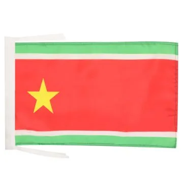 DRAPEAU GUADELOUPE INDÉPENDANT 45x30cm - PAVILLON GUADELOUPÉEN INDÉPENDANTISTE 30 x 45 cm haute qualité