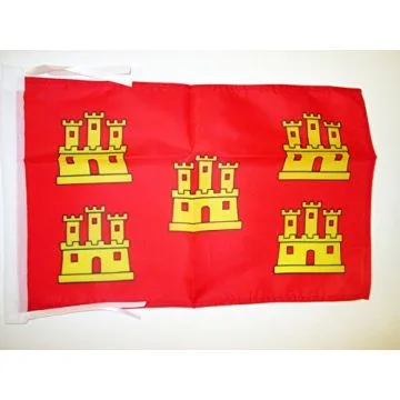 DRAPEAU POITOU-CHARENTES 45x30cm - PAVILLON PROVINCE DU POITOU - FRANCE 30 x 45 cm haute qualité