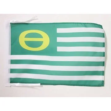 DRAPEAU ECOLOGISTE 45x30cm - PAVILLON ÉCOLOGIQUE - VERT 30 x 45 cm haute qualité