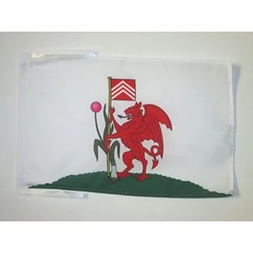 DRAPEAU CARDIFF 45x30cm - PAVILLON PAYS DE GALLES 30 x 45 cm haute qualité